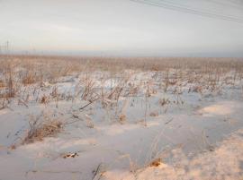 , Красноярский край