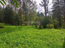 , Красноярский край